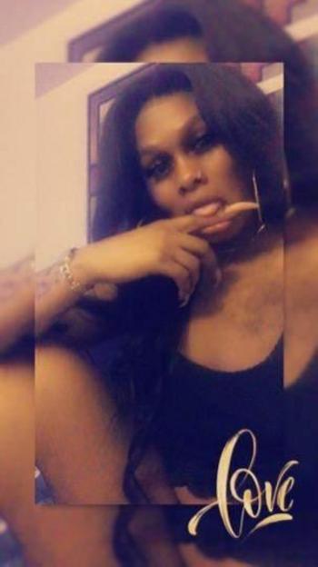 9179081758, transgender escort, Rochester